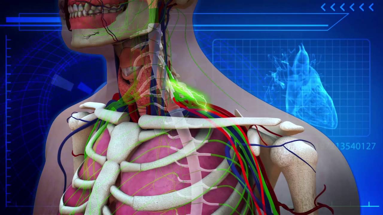 3d medical reel